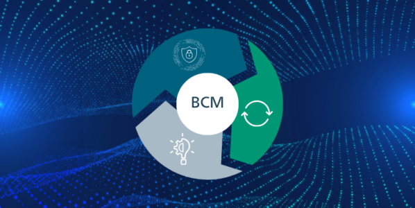 Business Continuity Management - BCM Kreislauf